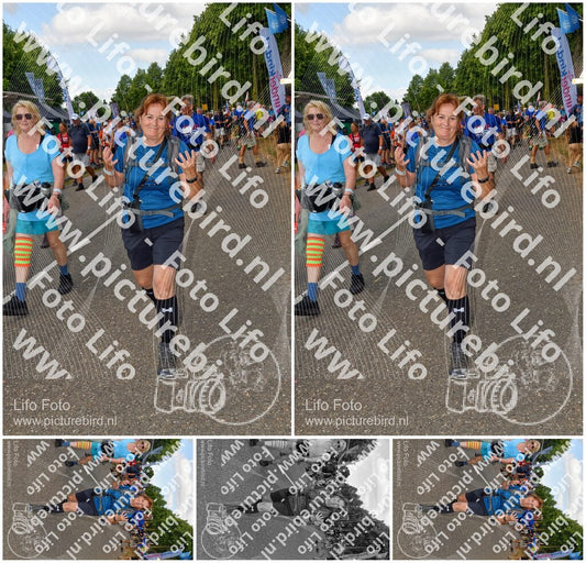 Evenement foto: Nijmeegse Vierdaagse 913