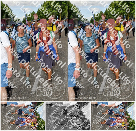 Evenement foto: Nijmeegse Vierdaagse 913