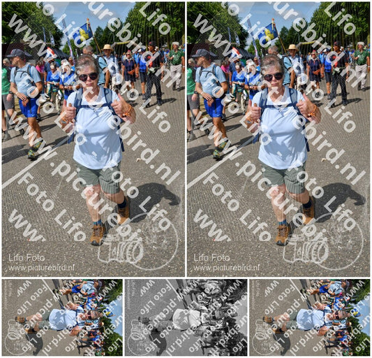 Evenement foto: Nijmeegse Vierdaagse 913