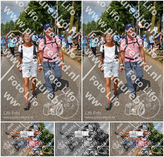 Evenement foto: Nijmeegse Vierdaagse 913