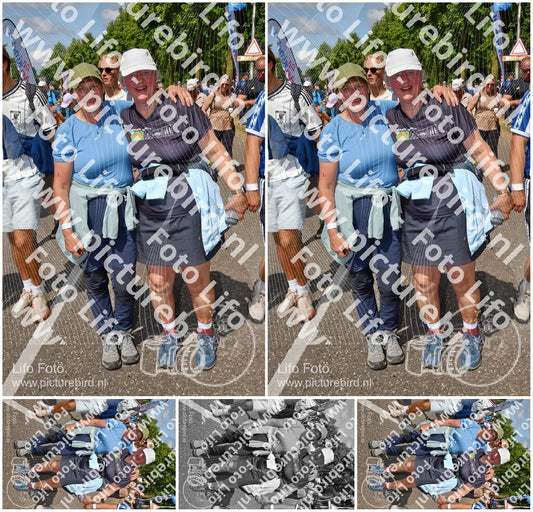 Evenement foto: Nijmeegse Vierdaagse 913