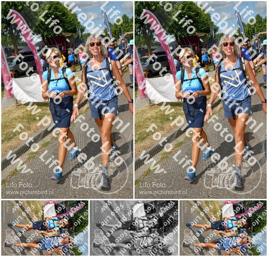 Evenement foto: Nijmeegse Vierdaagse 913