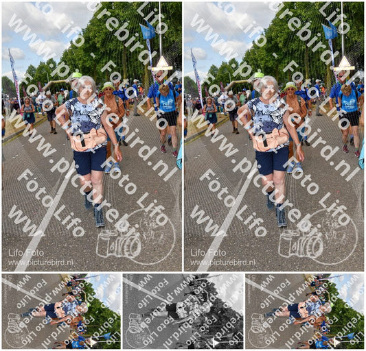 Evenement foto: Nijmeegse Vierdaagse 913
