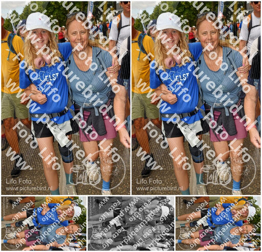 Evenement foto: Nijmeegse Vierdaagse 913
