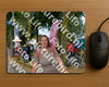 Evenement foto: Nijmeegse Vierdaagse 913