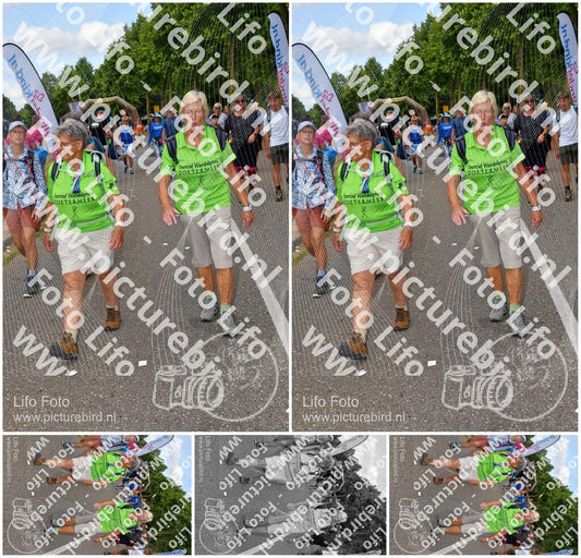 Evenement foto: Nijmeegse Vierdaagse 913