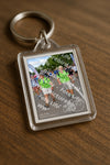 Evenement foto: Nijmeegse Vierdaagse 913
