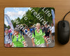 Evenement foto: Nijmeegse Vierdaagse 913