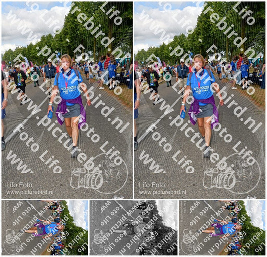 Evenement foto: Nijmeegse Vierdaagse 912