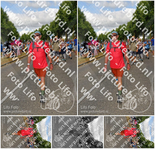 Evenement foto: Nijmeegse Vierdaagse 912