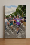 Evenement foto: Nijmeegse Vierdaagse 912