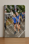 Evenement foto: Nijmeegse Vierdaagse 912