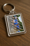 Evenement foto: Nijmeegse Vierdaagse 912
