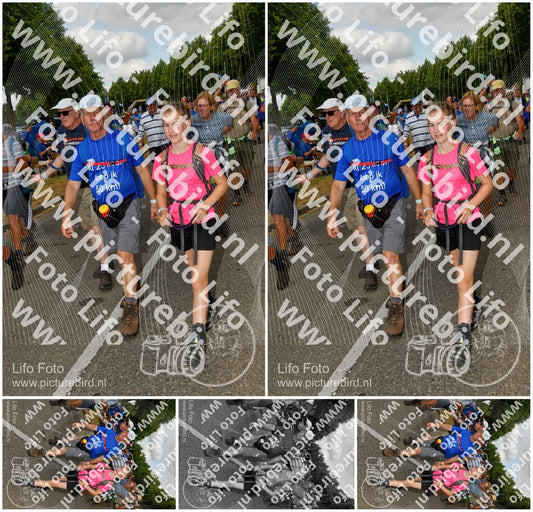 Evenement foto: Nijmeegse Vierdaagse 912