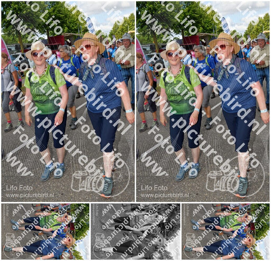 Evenement foto: Nijmeegse Vierdaagse 912