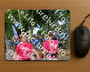 Evenement foto: Nijmeegse Vierdaagse 912