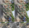 Evenement foto: Nijmeegse Vierdaagse 911