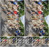 Evenement foto: Nijmeegse Vierdaagse 911