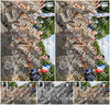 Evenement foto: Nijmeegse Vierdaagse 911