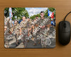Evenement foto: Nijmeegse Vierdaagse 911
