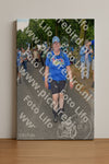 Evenement foto: Nijmeegse Vierdaagse 911