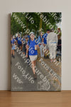 Evenement foto: Nijmeegse Vierdaagse 911
