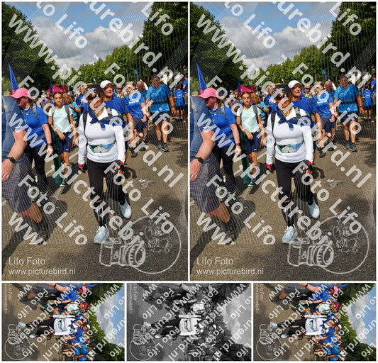 Evenement foto: Nijmeegse Vierdaagse 911