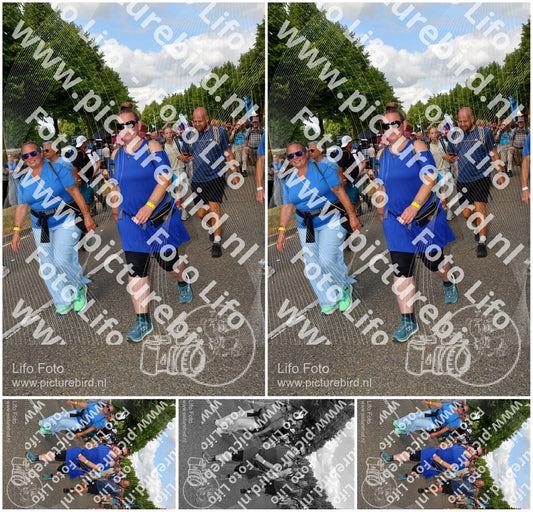 Evenement foto: Nijmeegse Vierdaagse 911