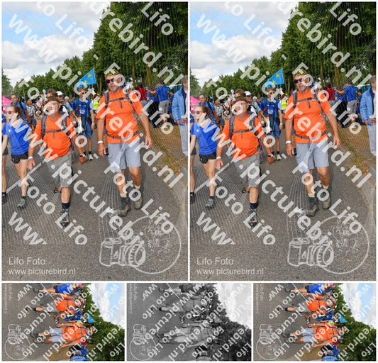 Evenement foto: Nijmeegse Vierdaagse 911