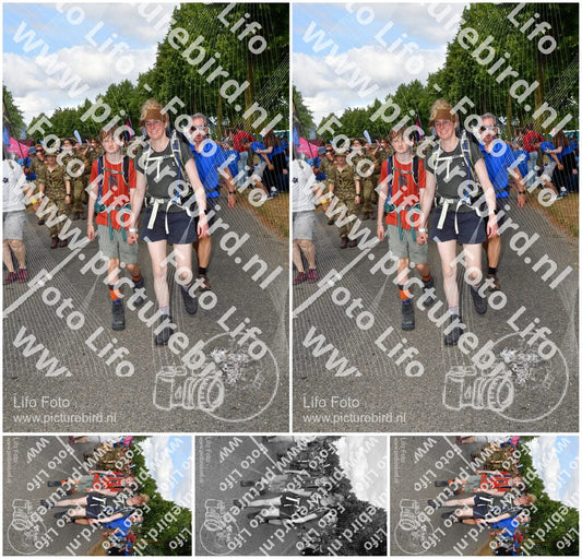 Evenement foto: Nijmeegse Vierdaagse 911