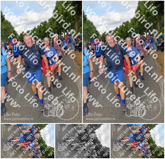 Evenement foto: Nijmeegse Vierdaagse 911