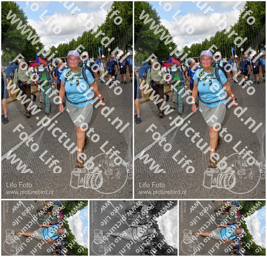 Evenement foto: Nijmeegse Vierdaagse 911