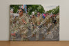 Evenement foto: Nijmeegse Vierdaagse 911
