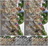 Evenement foto: Nijmeegse Vierdaagse 911