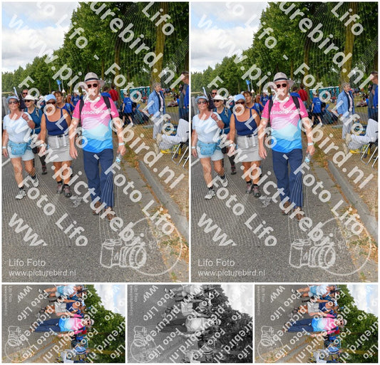 Evenement foto: Nijmeegse Vierdaagse 911