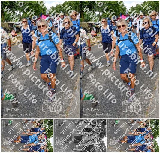 Evenement foto: Nijmeegse Vierdaagse 911