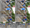 Evenement foto: Nijmeegse Vierdaagse 910