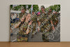 Evenement foto: Nijmeegse Vierdaagse 910