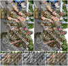Evenement foto: Nijmeegse Vierdaagse 910