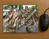 Evenement foto: Nijmeegse Vierdaagse 910