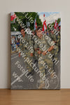 Evenement foto: Nijmeegse Vierdaagse 910