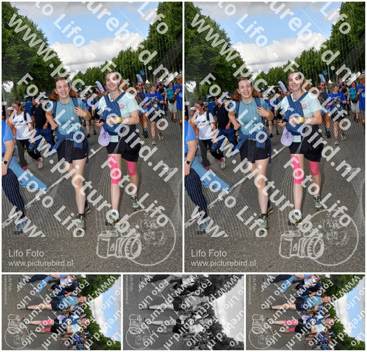 Evenement foto: Nijmeegse Vierdaagse 910