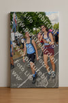 Evenement foto: Nijmeegse Vierdaagse 910