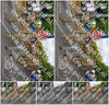 Evenement foto: Nijmeegse Vierdaagse 910