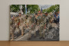 Evenement foto: Nijmeegse Vierdaagse 910