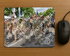 Evenement foto: Nijmeegse Vierdaagse 910