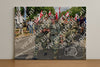 Evenement foto: Nijmeegse Vierdaagse 910