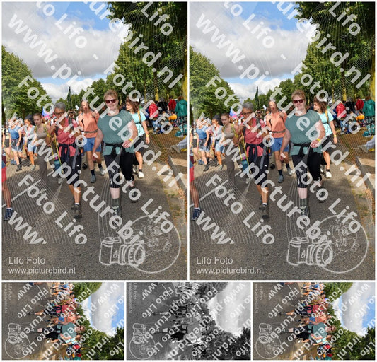 Evenement foto: Nijmeegse Vierdaagse 909