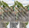 Evenement foto: Nijmeegse Vierdaagse 909