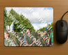 Evenement foto: Nijmeegse Vierdaagse 909